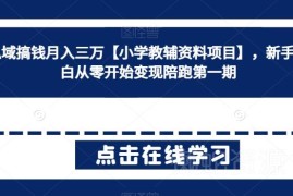 小学教辅私域变现项目实操指南 新手零经验可落地月入三万
