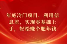 2024年底冷门信息差赚钱项目 零基础可上手实操教学分享