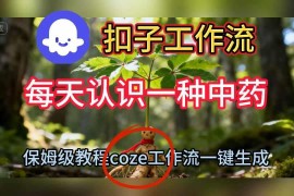 Coze扣子工作流搭建教程 一键生成中药科普短视频保姆级教学