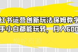 小红书运营创新玩法保姆级教学 新手可上手变现月入6000+