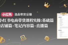 小红书电商带货实操全流程课 覆盖选品店铺笔记直播全模块