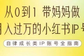 100天小红书训练营7期 成长IP账号从0到1运营变现全指南