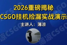 CSGO游戏饰品搬砖项目全新升级 小白手机操作当日即可见收益