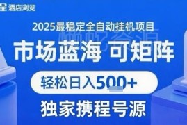 2025携程浏览全自动挂机项目玩法 矩阵操作收益及实操教程分享