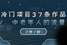 AI绘画做中老年赛道图文项目 37条作品涨粉13万玩法揭秘