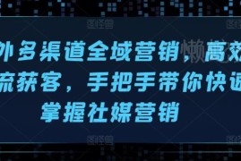 海外多渠道全域社媒营销实操教程 跨境引流获客技巧全解析