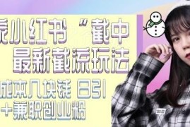 小红书截中截引流玩法实操教程 低成本获取精准创业兼职粉