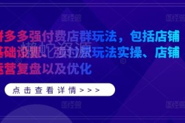 拼多多强付费店群玩法详解 含基础设置实操复盘优化全流程