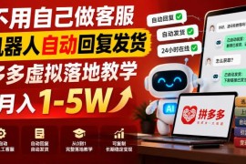 拼多多虚拟电商实操教程 自动发货无需值守单人可做收益稳定