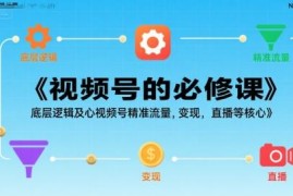 视频号运营实操必修课 底层逻辑流量获取直播变现全攻略