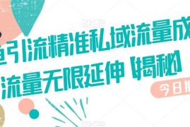 闲鱼引流精准私域流量方法 全行业适用可实现流量无限延伸