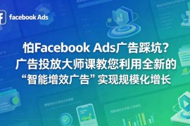 Facebook Ads广告投放大师课 教你用智能增效广告实现规模化增长
