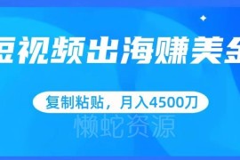 短视频出海赚美金实操教程 新手可批量操作月入4500美元