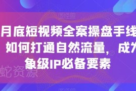 12月短视频全案操盘手线下课 自然流量打通及IP打造干货汇总