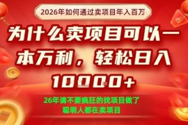 2026年卖项目年入百万实操攻略 单单净利润可达1000元以上