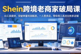 Shein跨境商家破局实操课 AI提效突破单量利润瓶颈玩转多店矩阵