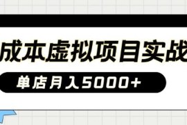 0成本虚拟项目实战全流程教程 手把手教你落地单店月入5k
