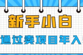 无资源无背景新手小白 如何通过售卖网赚项目年入50万