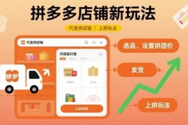 拼多多代发供应链上拼玩法教程 零基础电商店铺运营实操攻略