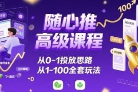 随心推从0到1投放思路教程 含从1到100全套运营实操玩法