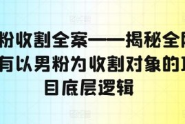 男粉类项目底层逻辑揭秘 主流引流变现玩法全梳理