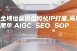 全域运营IP打造全流程实操 含AIGC SEO SOP及私域成交方法
