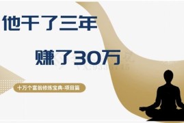 普通人可复制的3年赚30万公文资料项目实操玩法解析