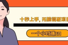 适合新手的无门槛调研接单项目 操作简单的靠谱副业赚钱途径