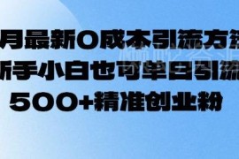 2025年2月最新0成本引流方法 新手可单日引数百精准创业粉