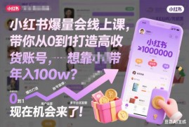 小红书爆量会线上课 0基础打造高收益带货账号实操全教程