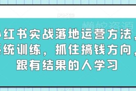 小红书实战落地运营系统训练 跟着有结果的人找准搞钱方向