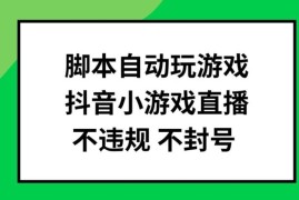 抖音小游戏脚本自动挂机直播玩法 无违规可批量操作项目解析