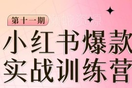 小红书爆款训练营第11期 手把手教学从0到1起号运营变现全流程
