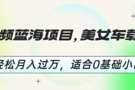 适合0基础小白的短视频美女车载U盘蓝海赚钱项目实操教程