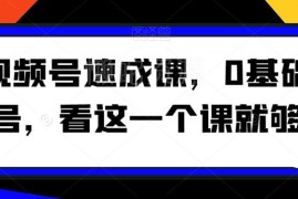 0基础视频号起号速成课 定位涨粉变现全流程实操教学