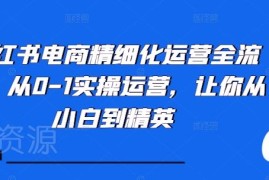 小红书电商从0到1精细化运营全流程 小白实操入门指南