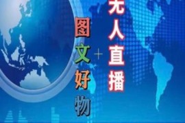 抖音图文好物带货与无人直播实操 新手全流程电商教程