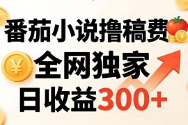番茄小说撸稿费稳定副业实操指南 小白易上手日收益可达300+