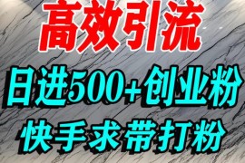 快手精准引流创业粉实操方法 宝妈学生群体日获500+精准流量