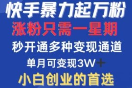 快手一周涨万粉实操教程 多变现模式及跨平台账号运营方法