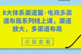 电商多渠道布局系列线上课 各大主流渠道运营玩法详解