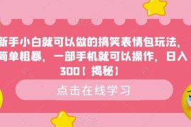 新手小白可做的搞笑表情包玩法 手机操作低门槛副业变现指南
