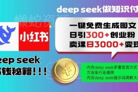 Deepseek一键生成小红书图文引流创业粉 全行业通用变现实操教程