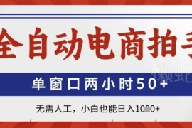 2025全自动电商拍手项目解析 零成本无需人工小白可上手