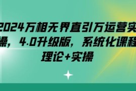 2024万相无界直引万运营4.0升级版 系统化理论+实操完整教程