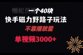 2024快手联合美团磁力聚星新玩法解析 单视频可获四位数收益