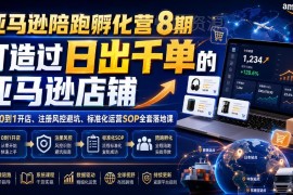 亚马逊8期陪跑孵化营教程 新手0到1开店风控避坑运营SOP全解析