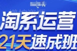 2025年10月更新 0基础21天速成淘系运营全流程实操课程