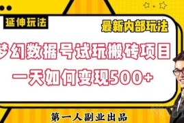 梦幻数据号游戏试玩搬砖独家高阶玩法 实操可实现日入500+