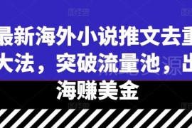 2024海外TikTok小说推文去重方法 出海赚美金实操玩法攻略